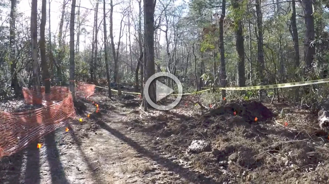 Quick Look Before Site Clearing