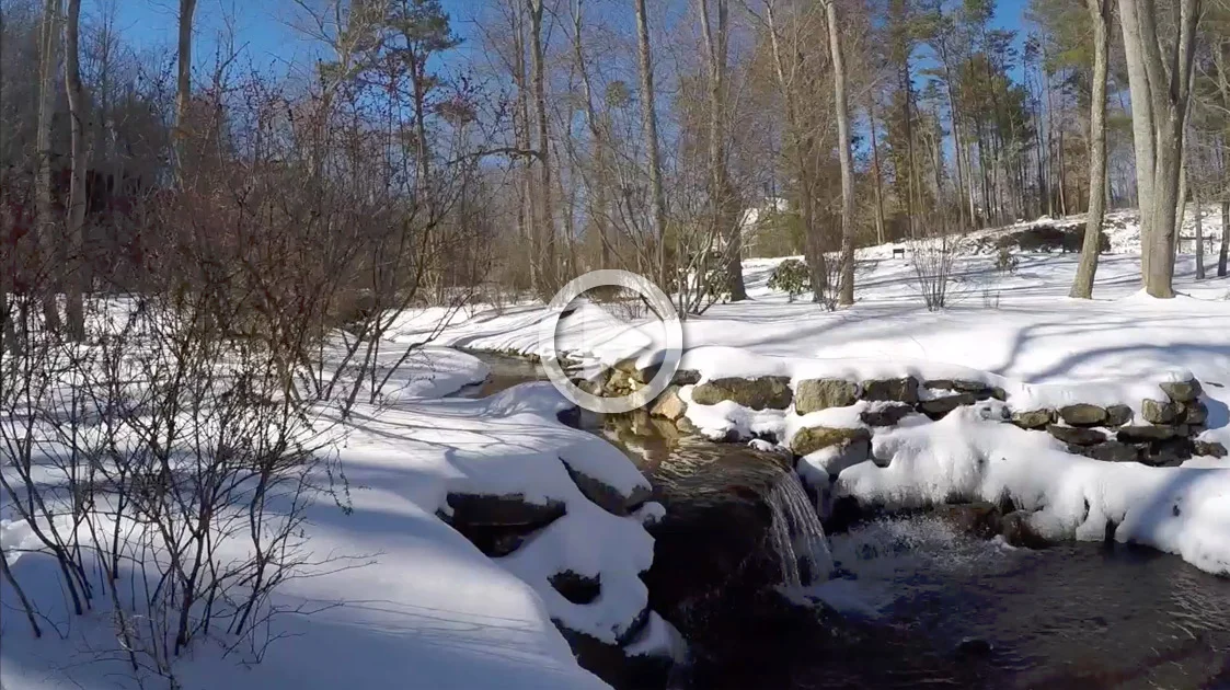 Winter Bridgewater Wonderland