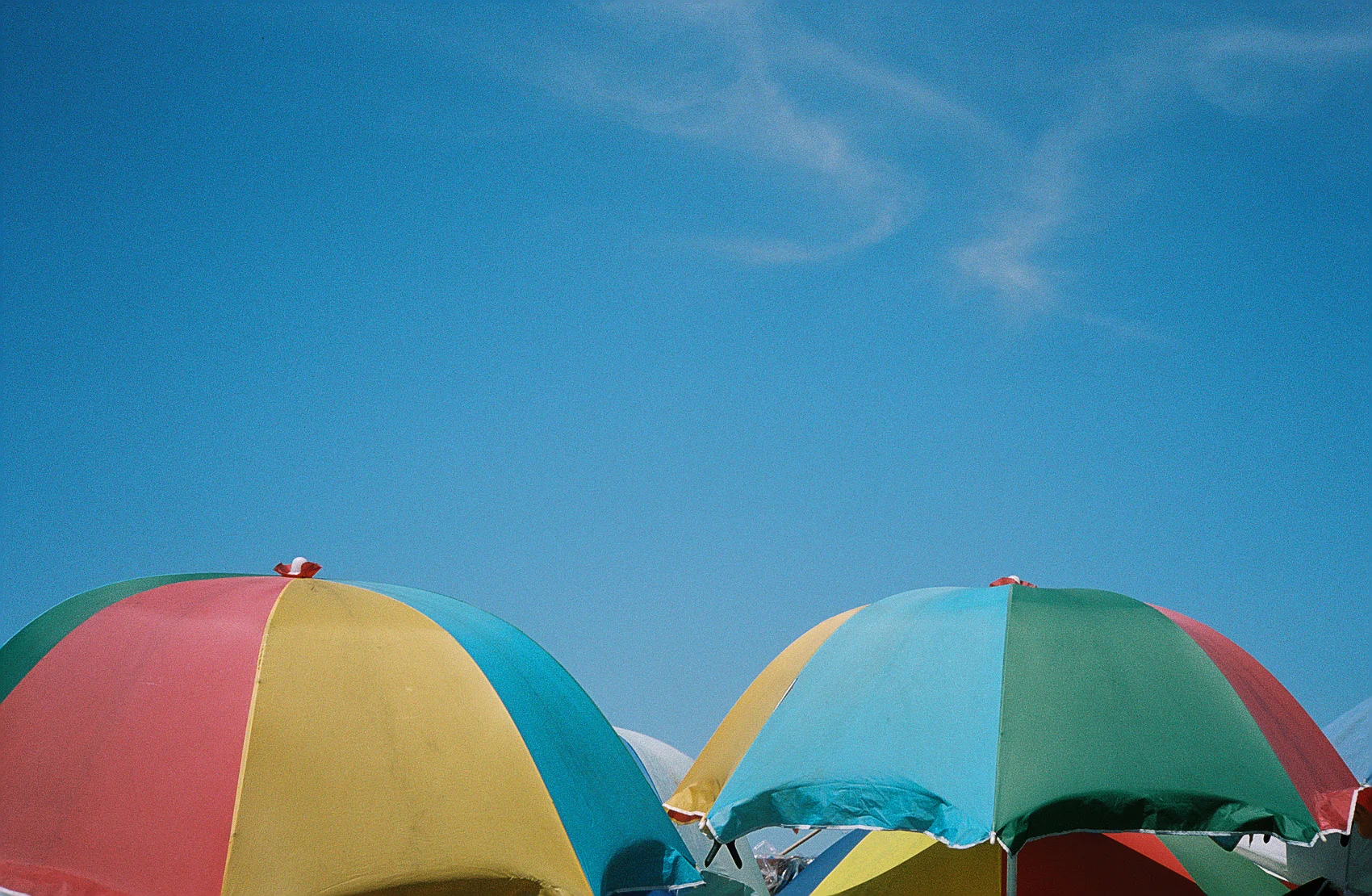 121.jpg
