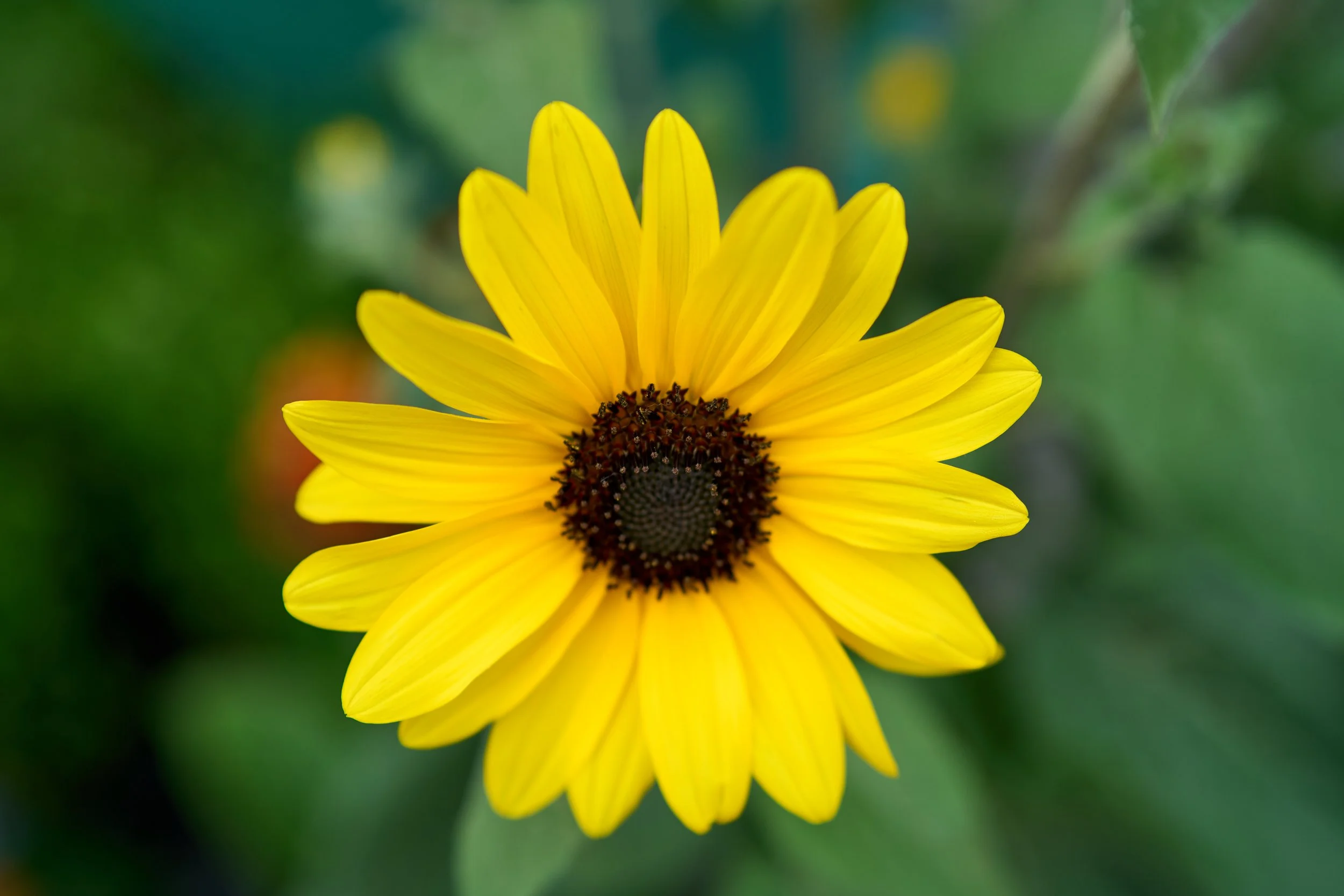 BIG09556.jpg