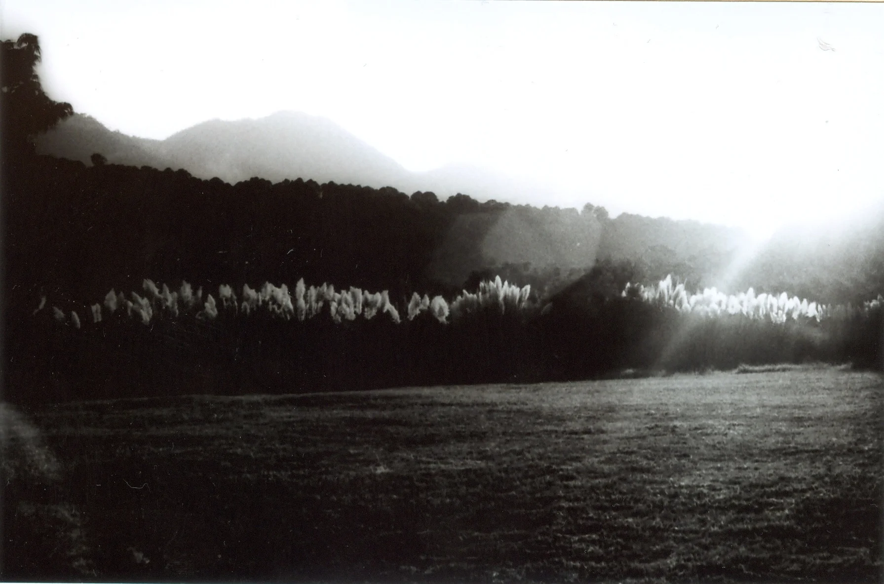 escanear0057.jpg