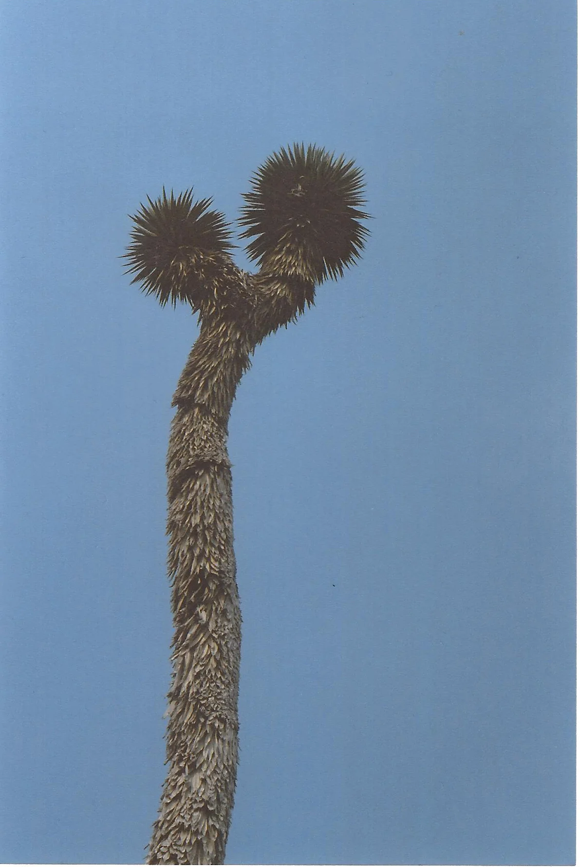 scan0024.jpg