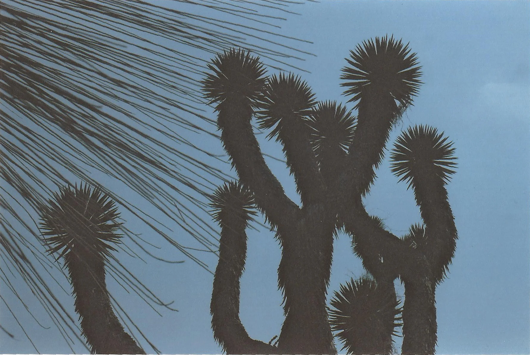 scan0025.jpg