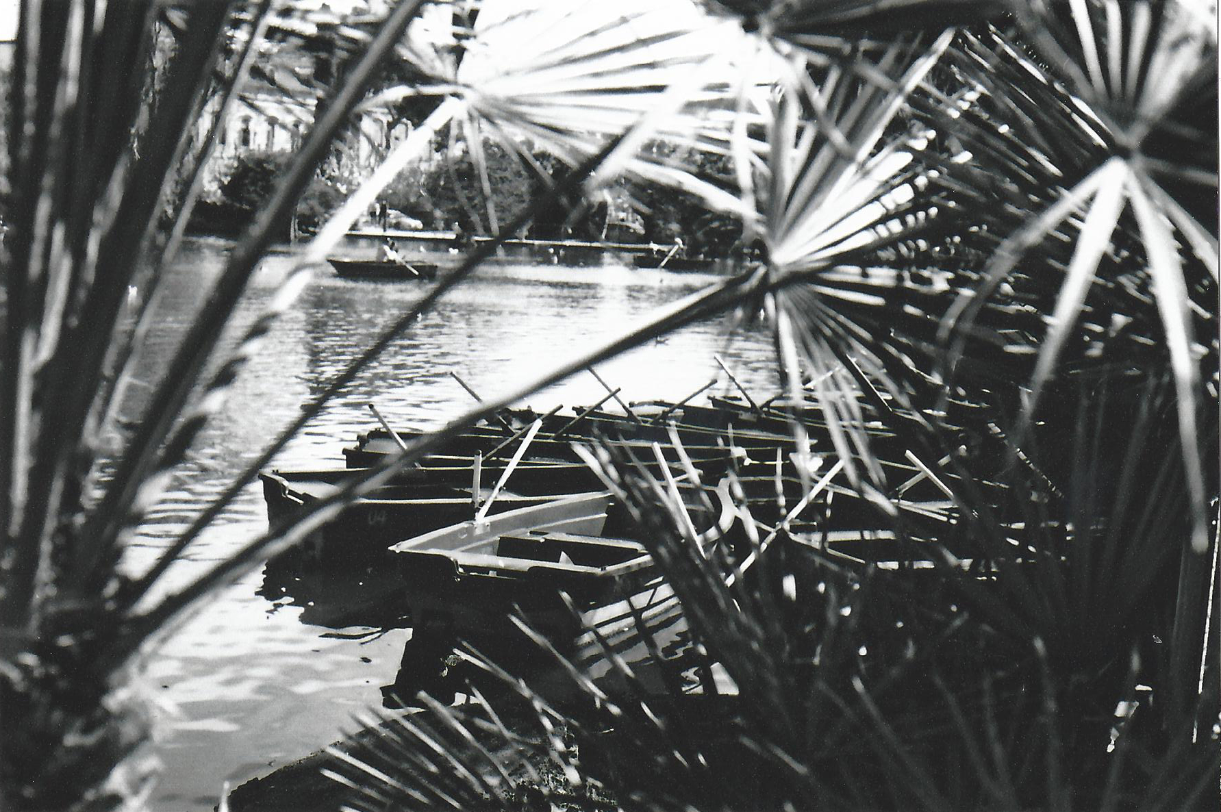 scan0065.jpg