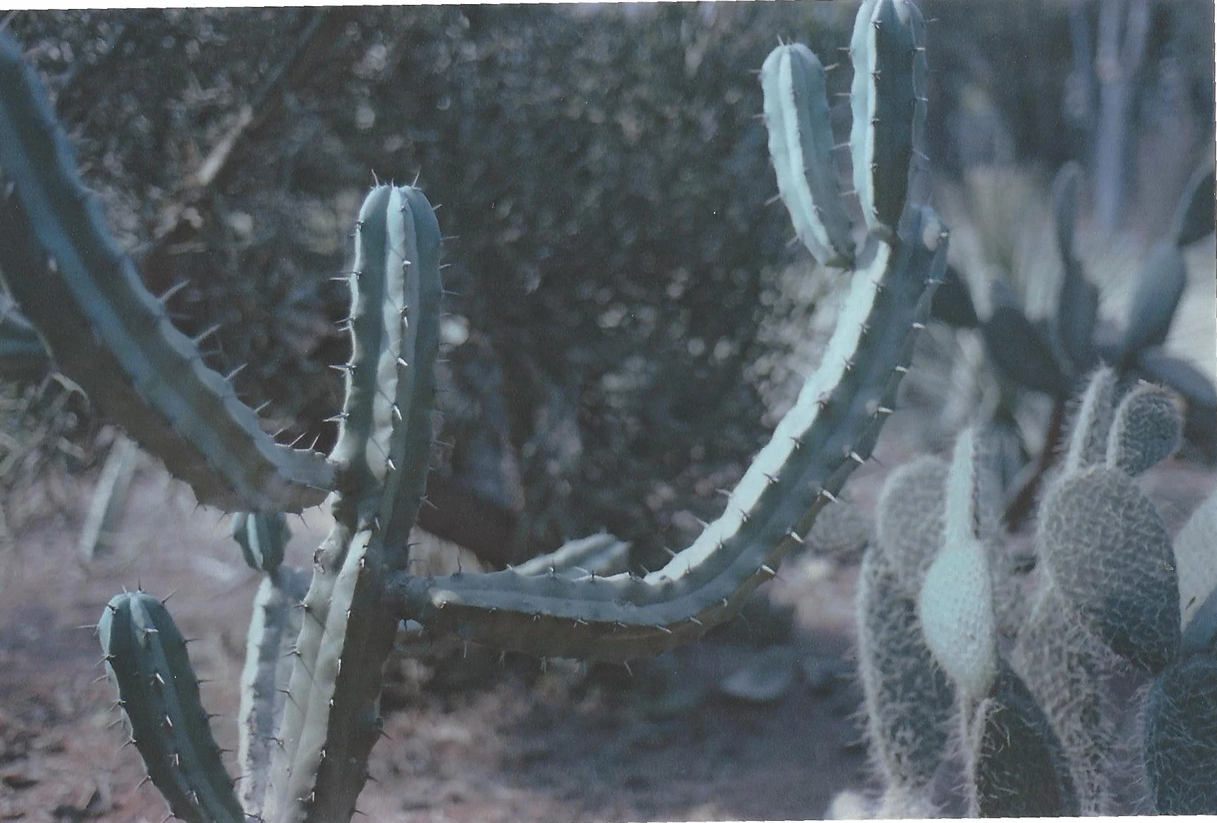 scan0015.jpg