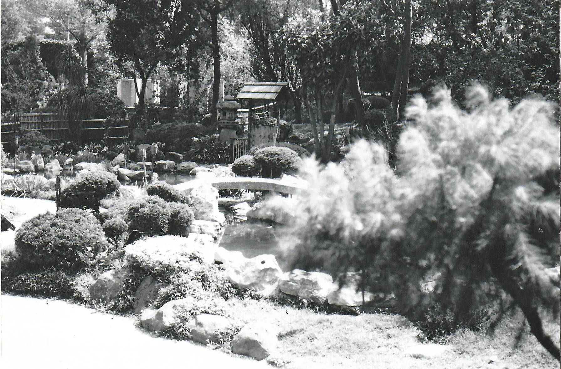 scan0066.jpg