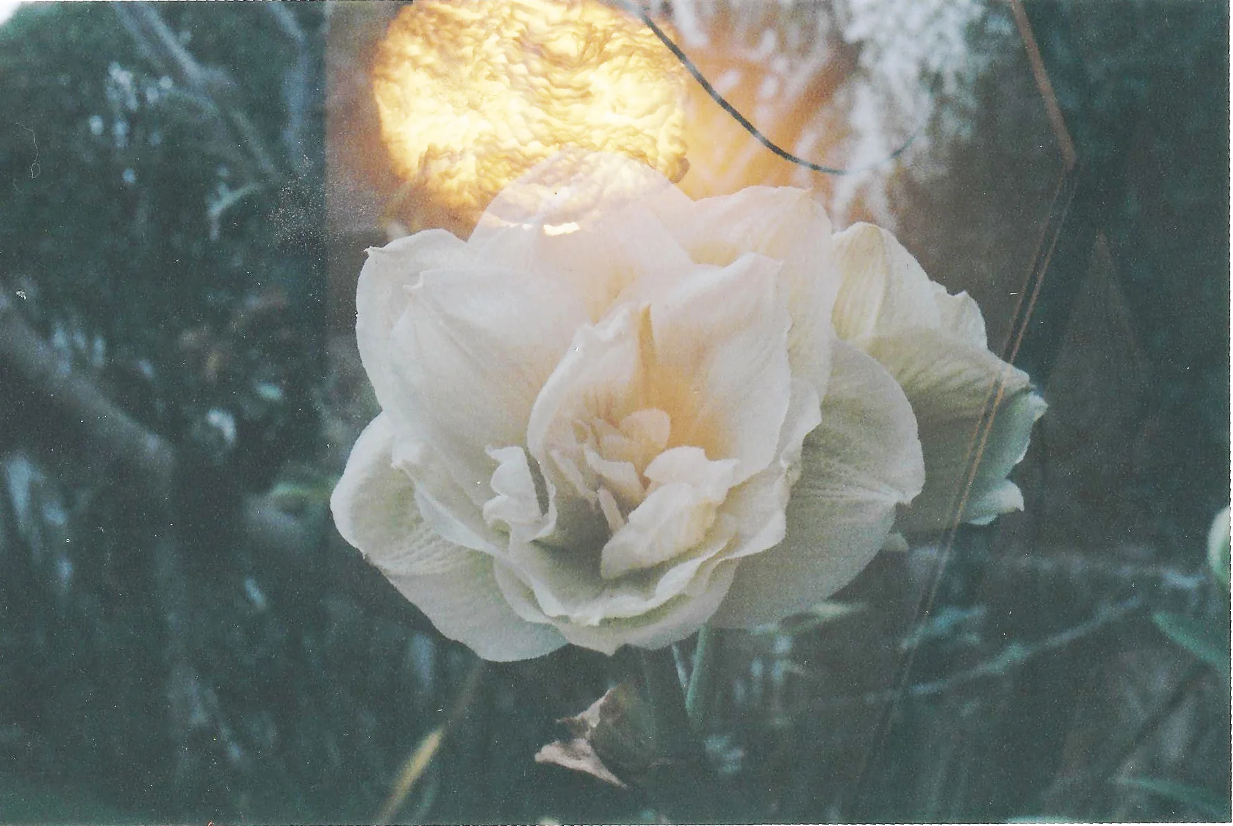 scan0045.jpg