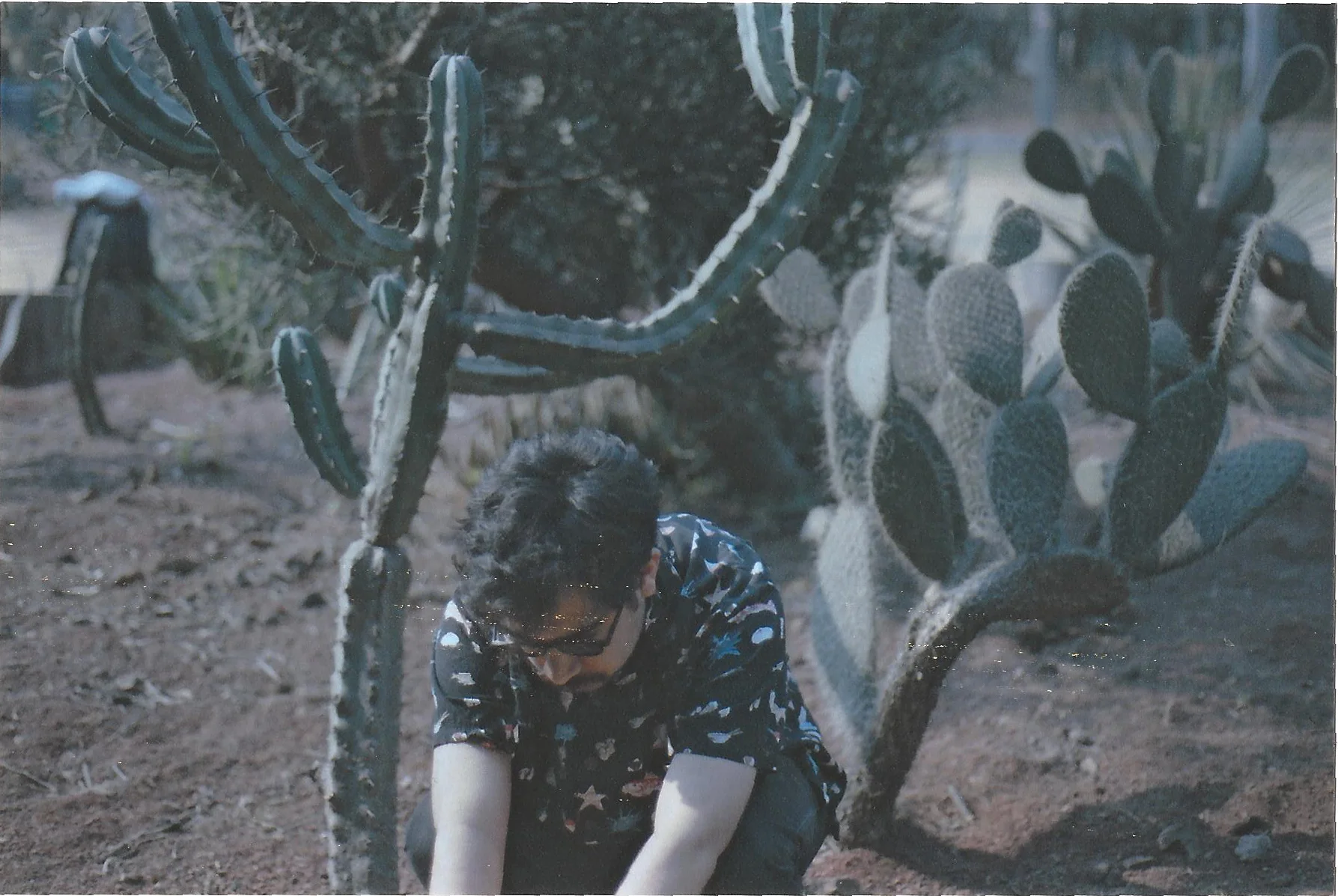 scan0016.jpg