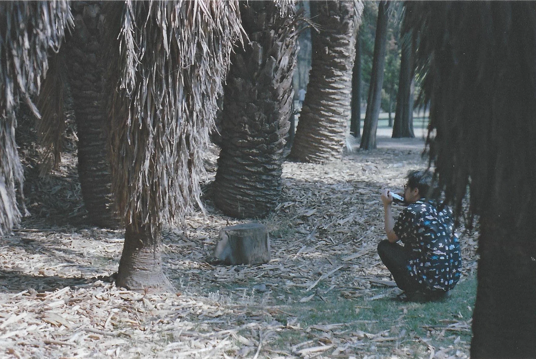 scan0012.jpg