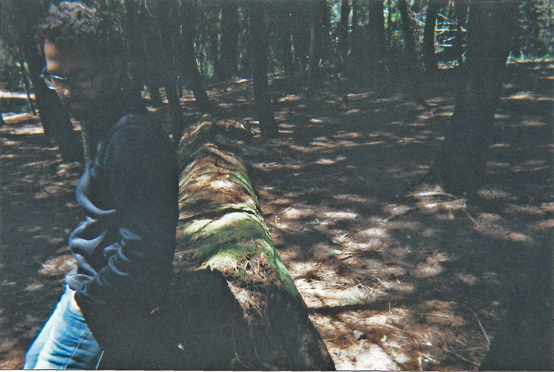 scan0013.jpg