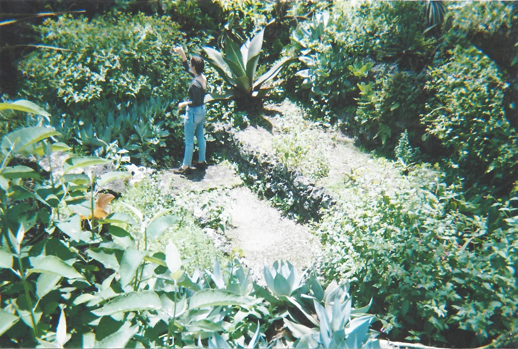 scan0016.jpg