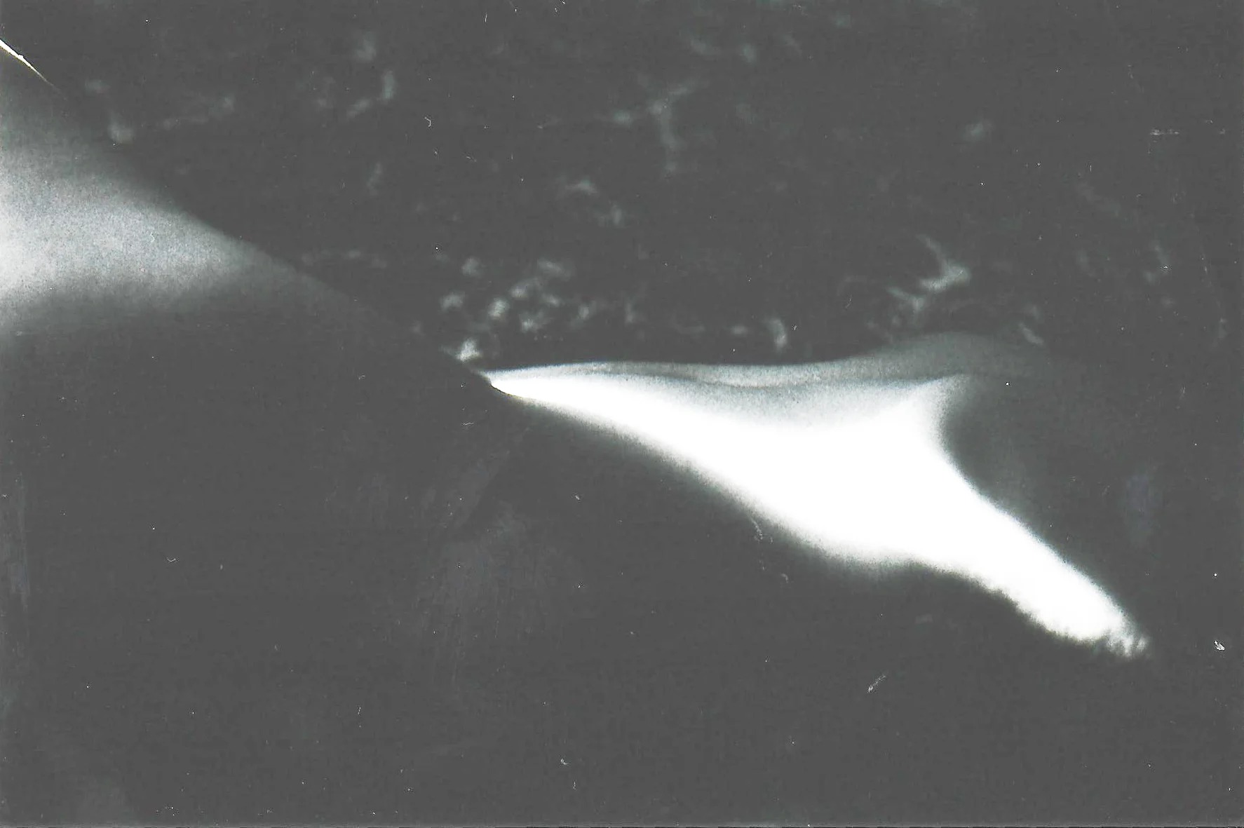 scan0018.jpg