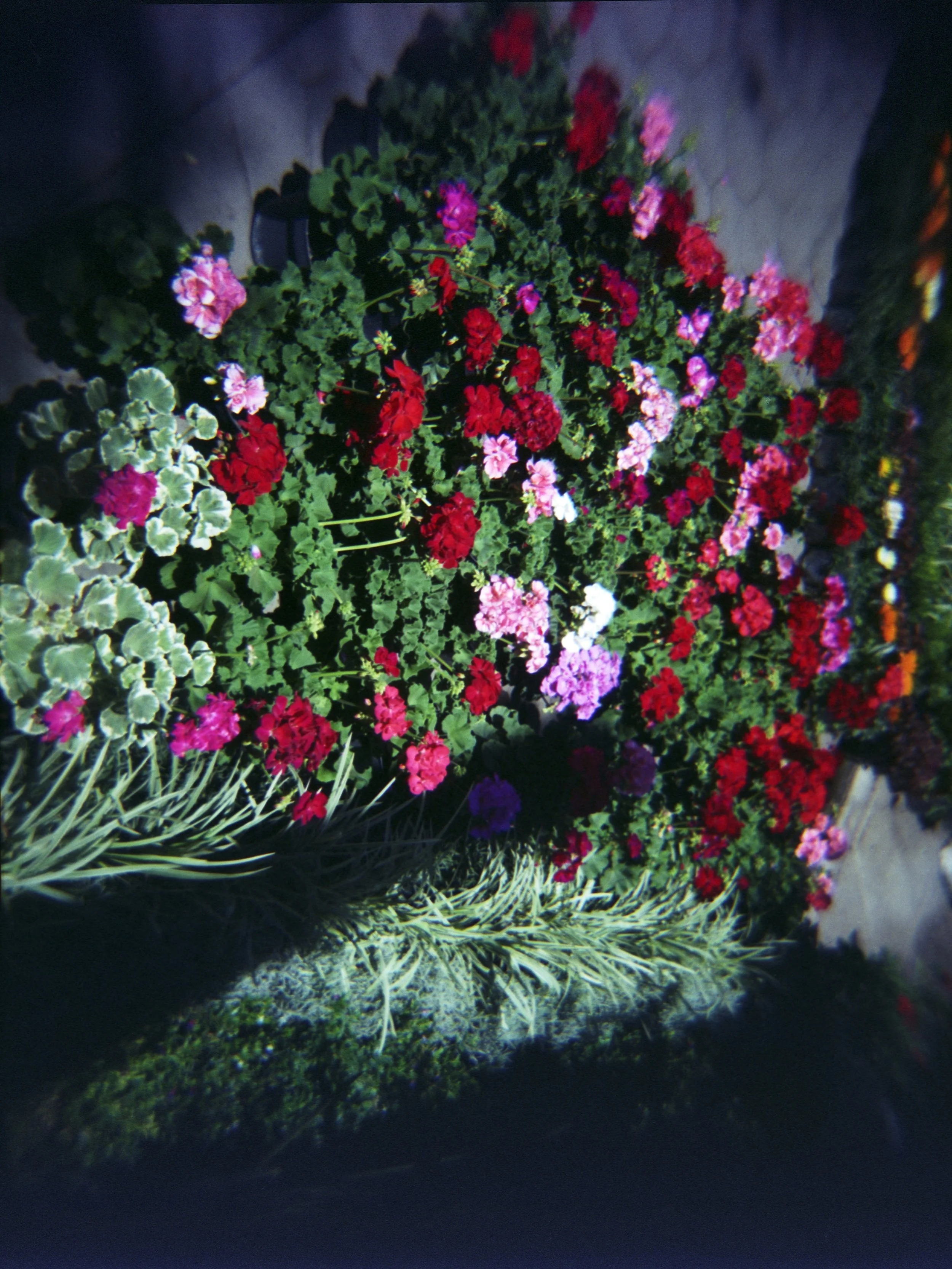 A1267_scan.jpg