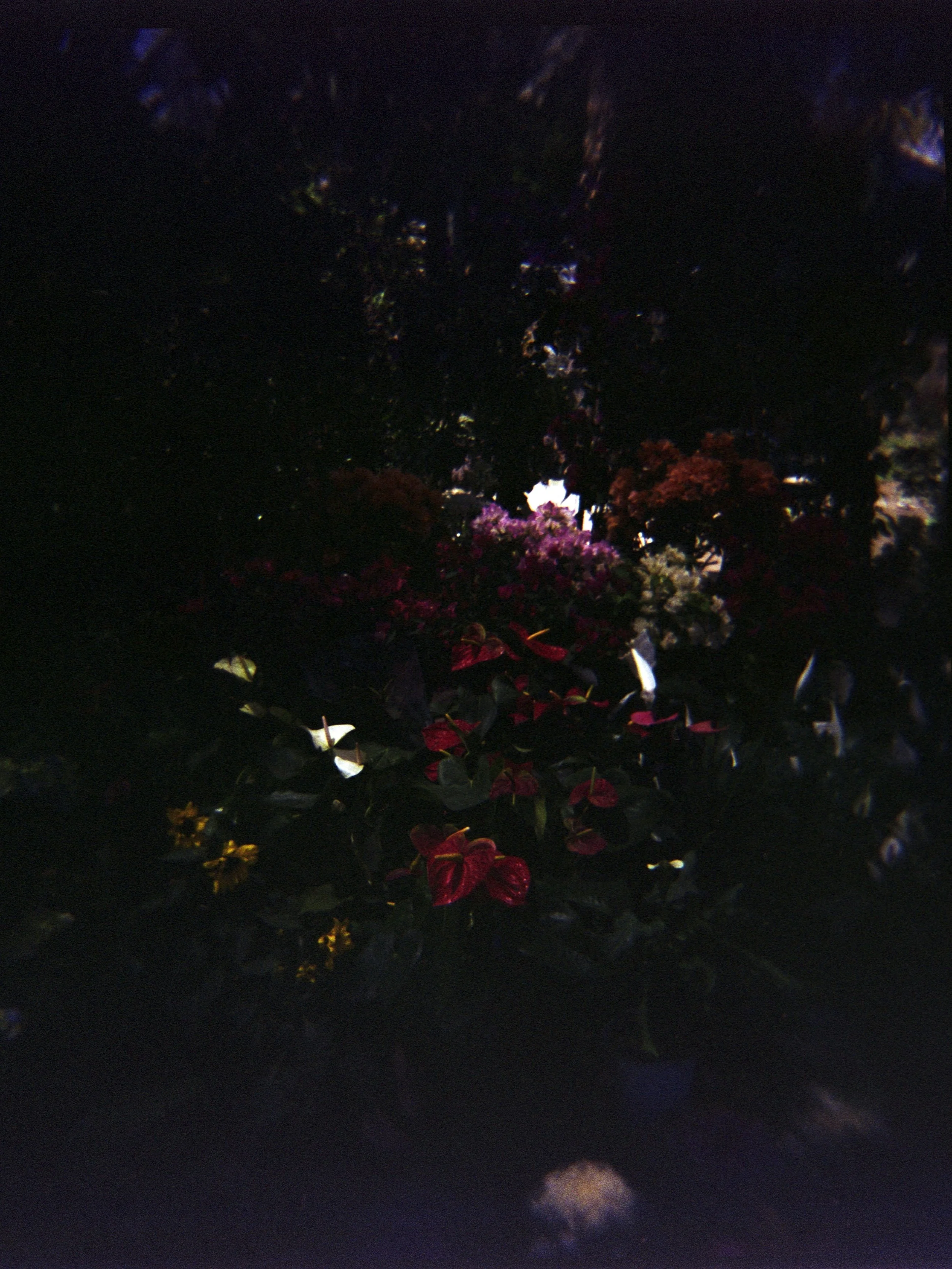 A1267_scan2.jpg