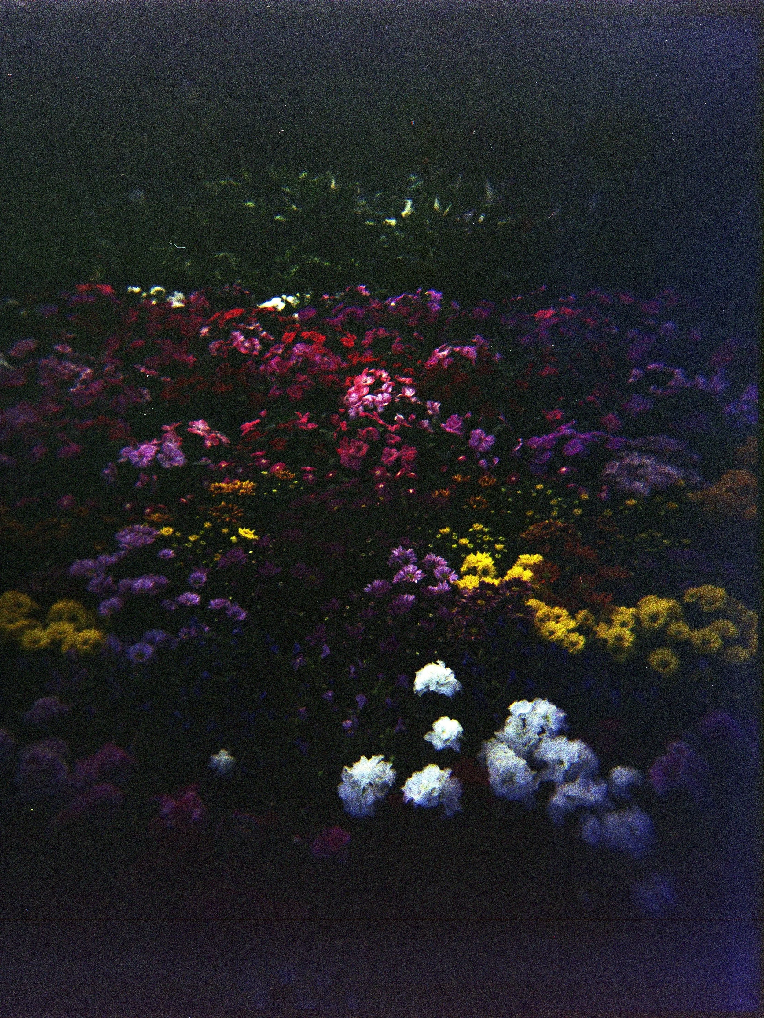 A1267_scan3.jpg