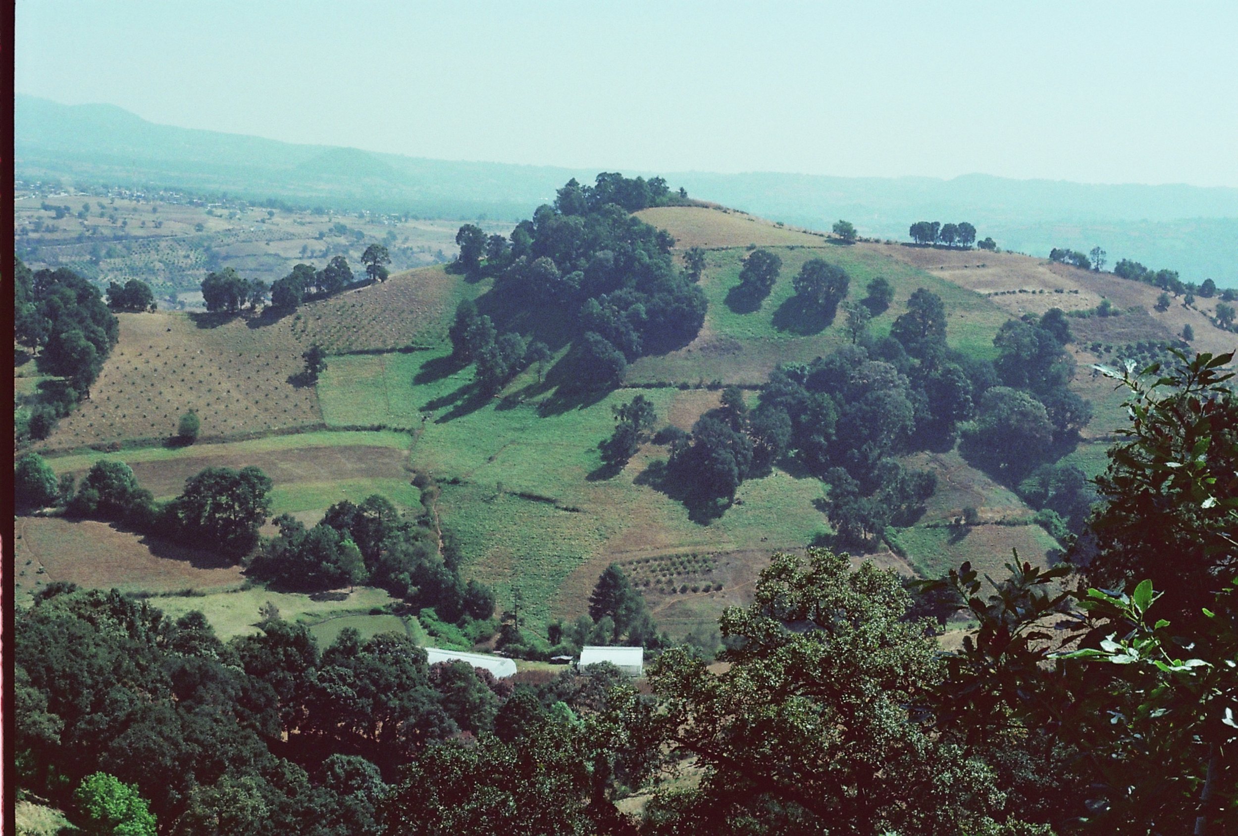 A003189-R1-17-18A.JPG