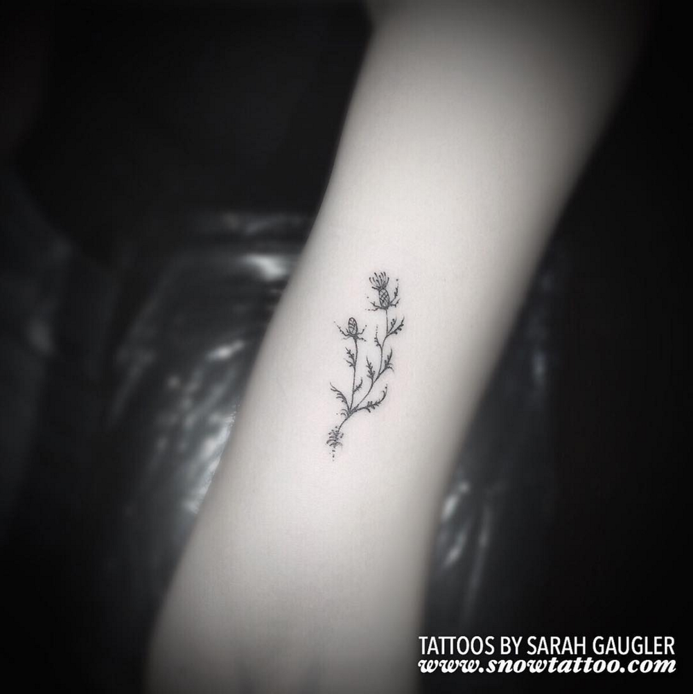 Sarah+Gaugler+Snow+Tattoo+Custom+Floral+Thistle+Fine+Line+Detailed+MicroTattoo+Micro+Intricatetattoo+New+York+Best+Tattoos+Best+Tattoo+Artist+NYC.png