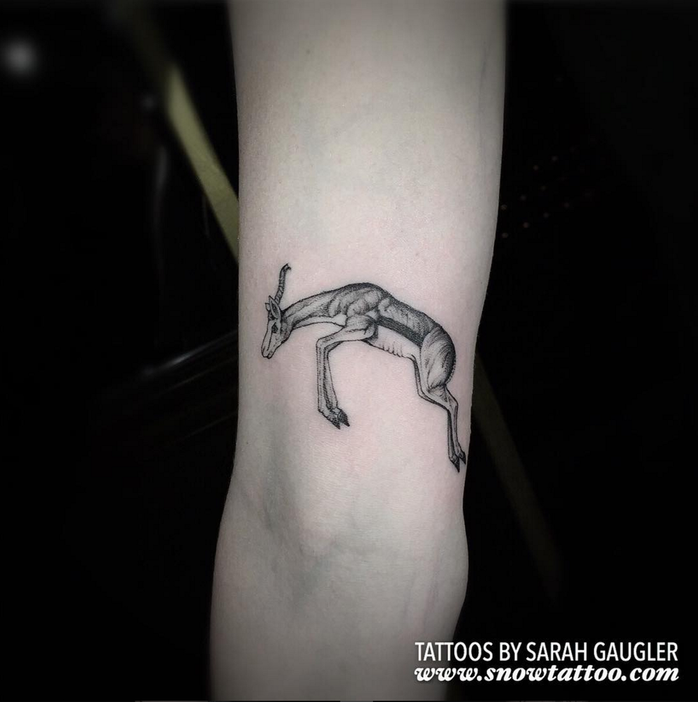 Sarah+Gaugler+Snow+Tattoo+Custom+Springbok+New+York+Best+Tattoos+Best+Tattoo+Artist+NYC.png