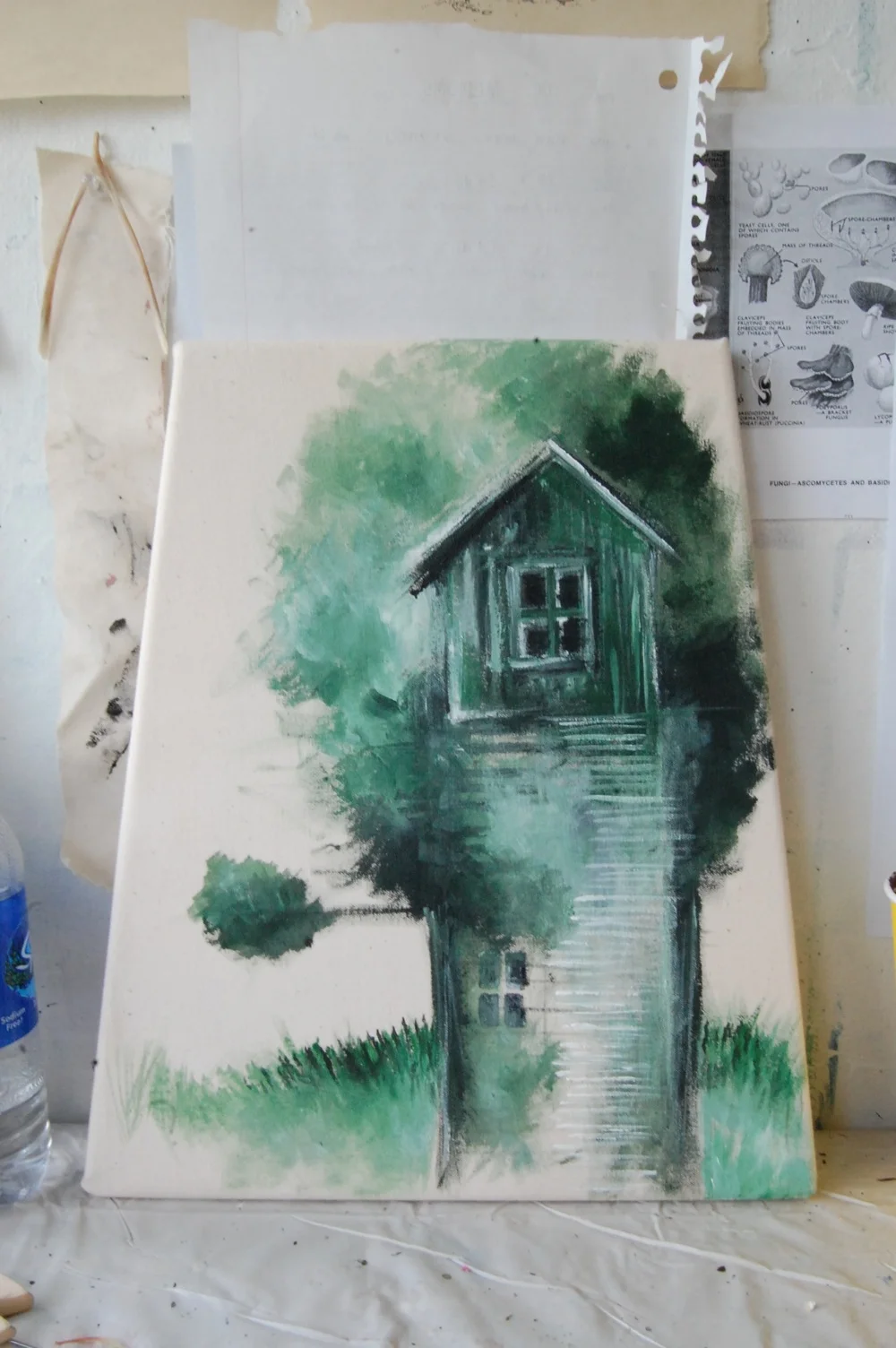 Tree House