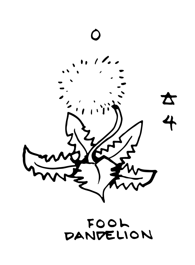 0 - Dandelion (the Fool)