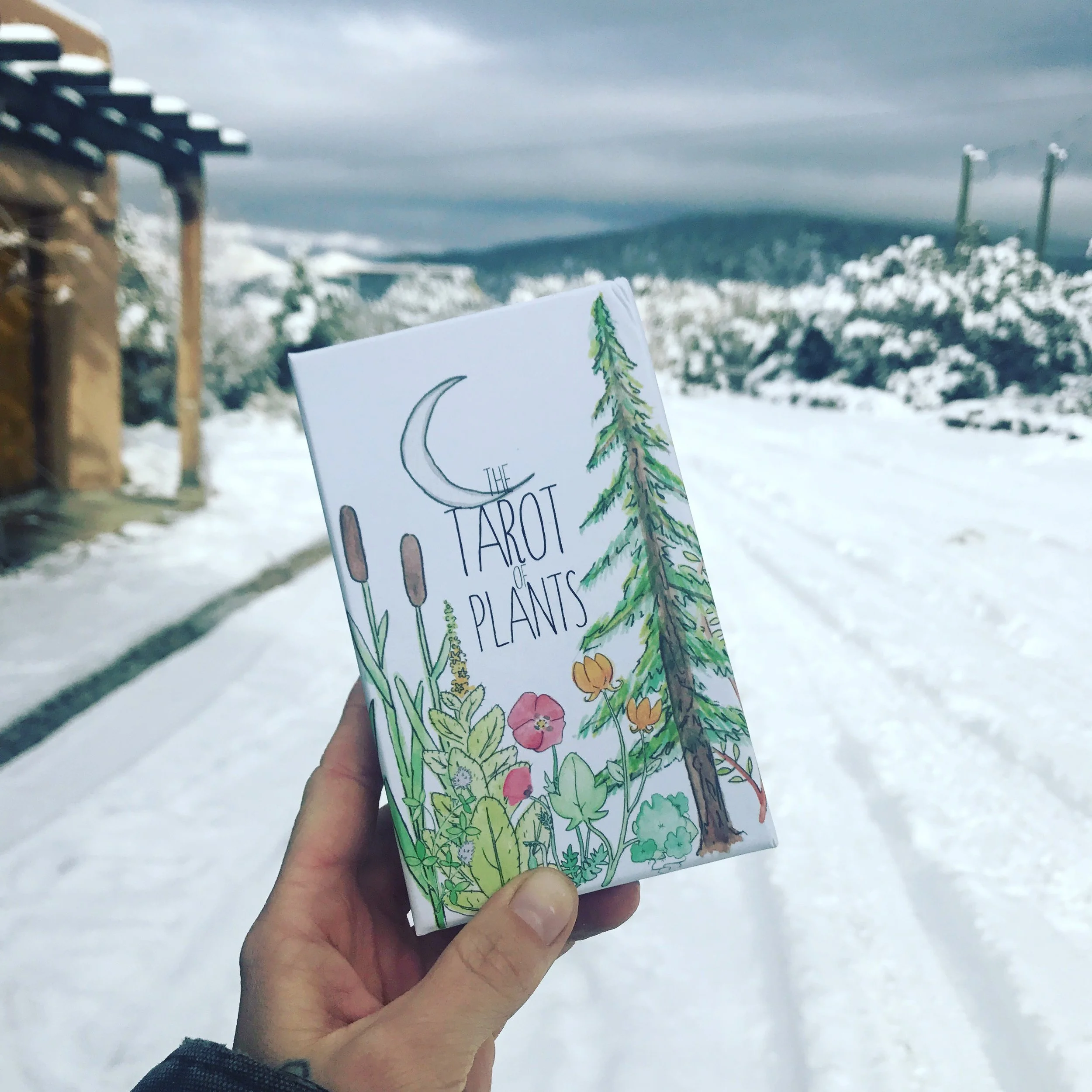 the Tarot of Plants Deck - solar edition