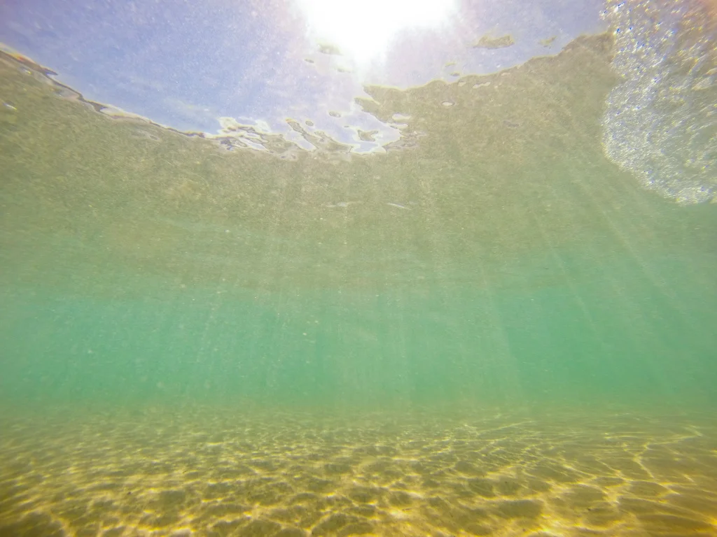 G0100793.jpg