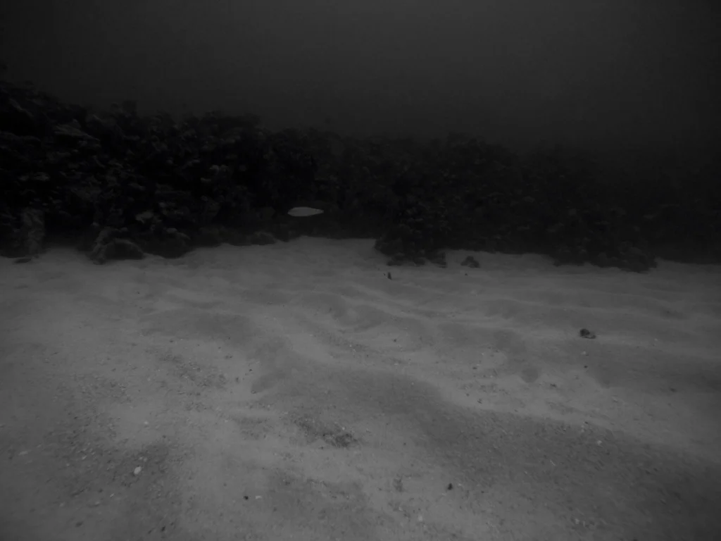 G0010056.jpg