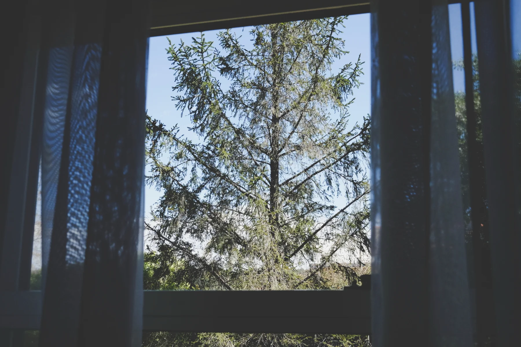 DSCF6408.JPG
