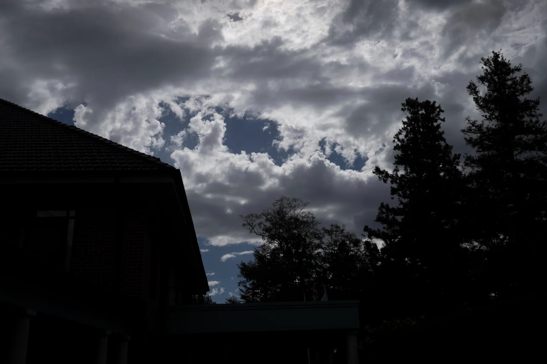 DSCF6448.JPG
