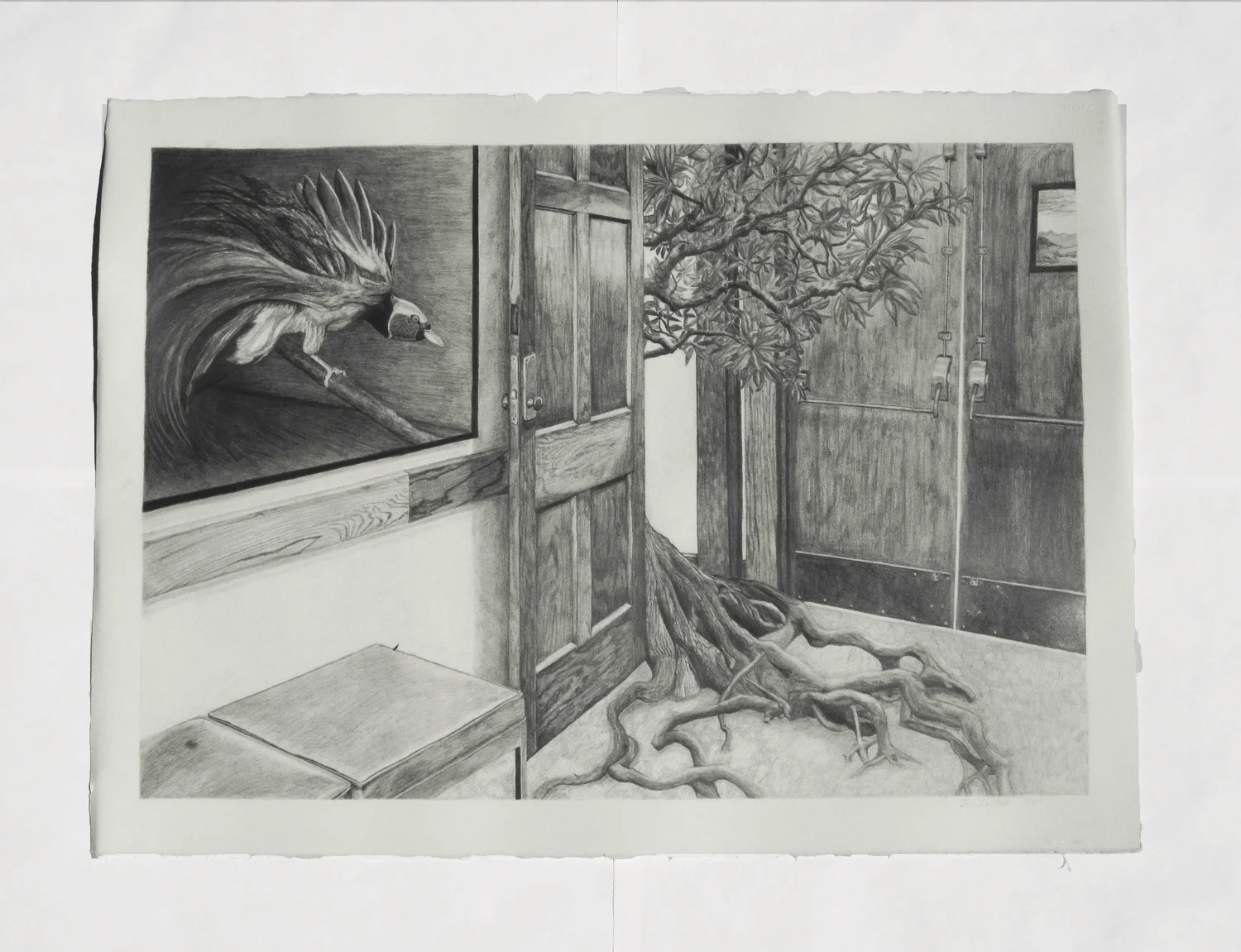 tree in ascension .jpg