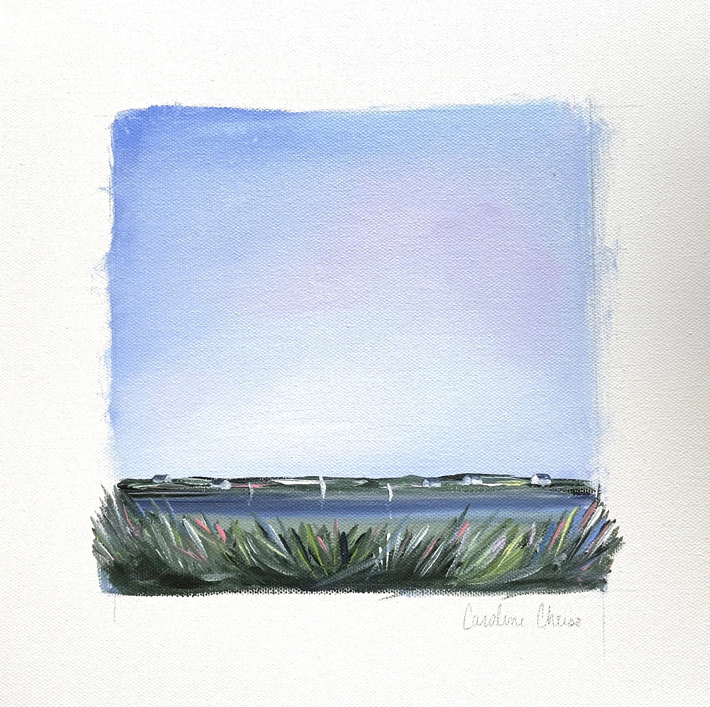 Wauwinet Wonder_12x12_$375.JPG