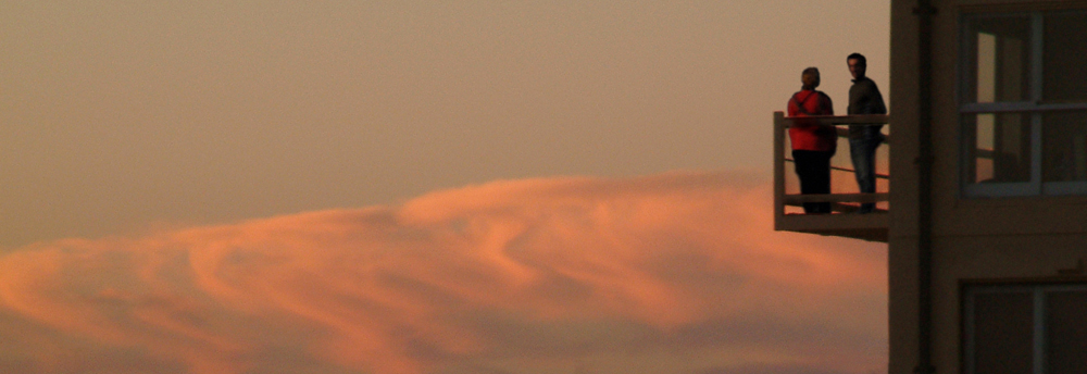 The Verdict (in pale pink)