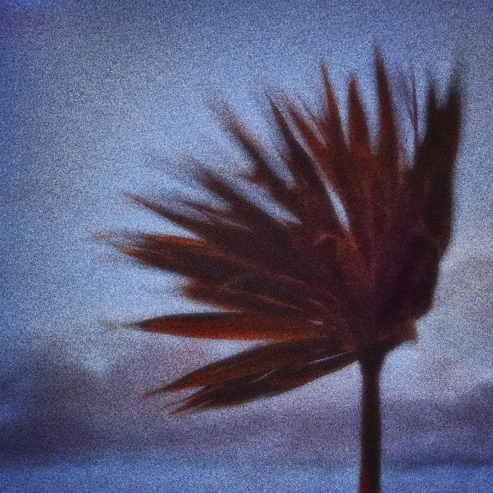 Cyclone in the Wind
