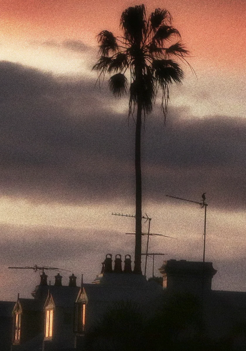 Tropical London