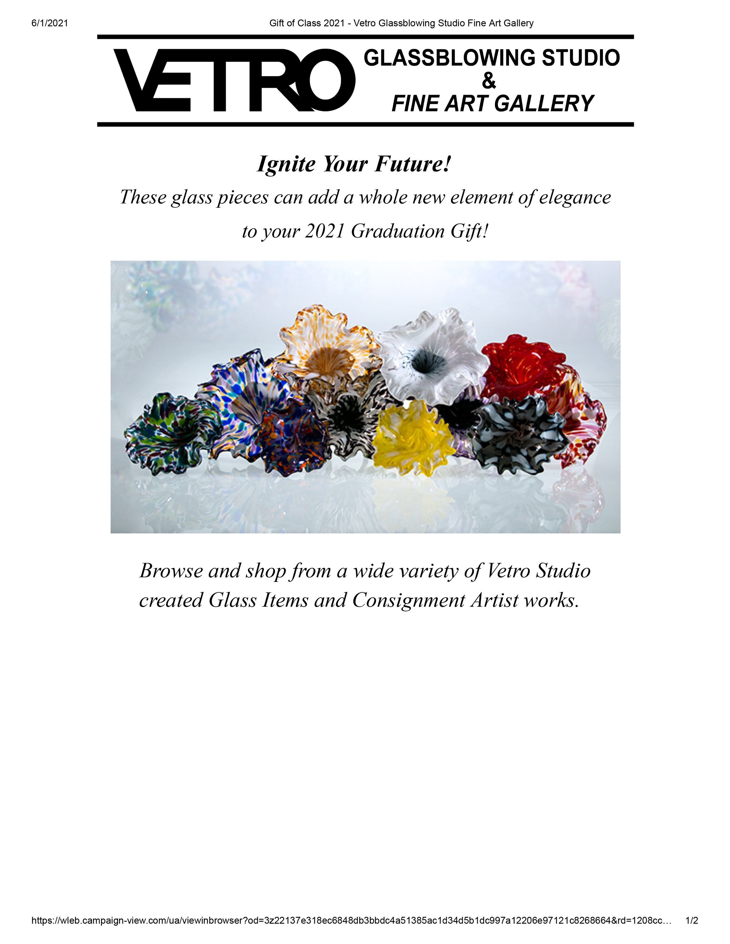 Email Campaigns -Vetro Glassblowing Studio -  Ignite Your Future!-1.jpg