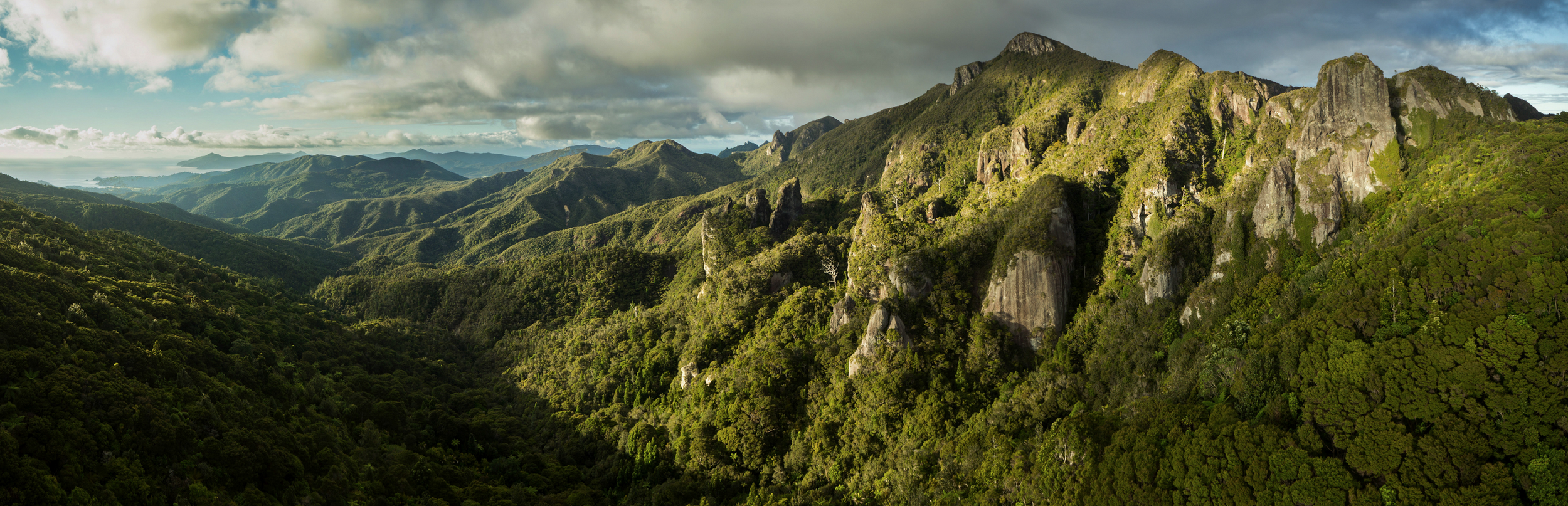 Above - Windy Canyon, Great Barrier Island. Photo: (captured with an Aerial Vision drone) Glenn McLelland, Aerial Vision .