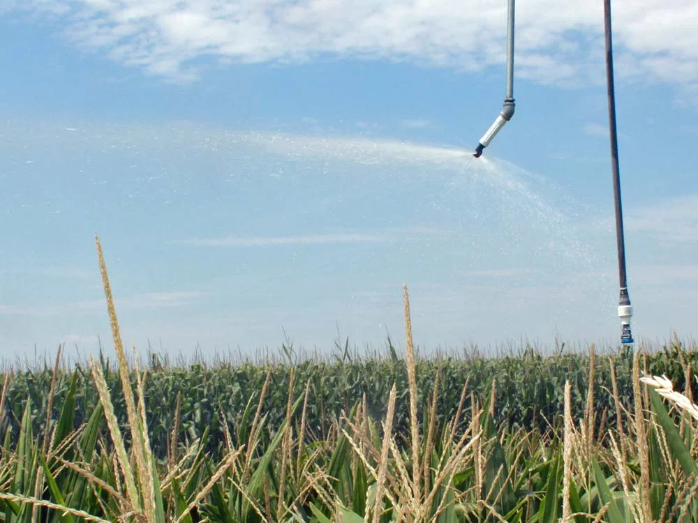 End-Spray-running-over-corn.jpg