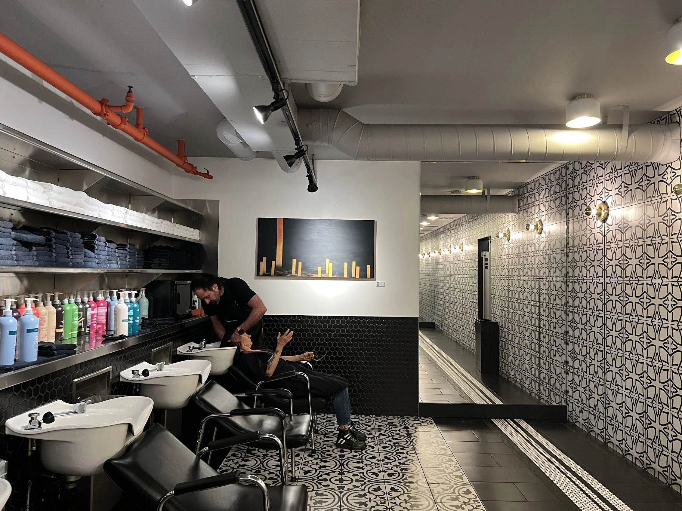CoCA Show Walls - Gary Manuel Salon