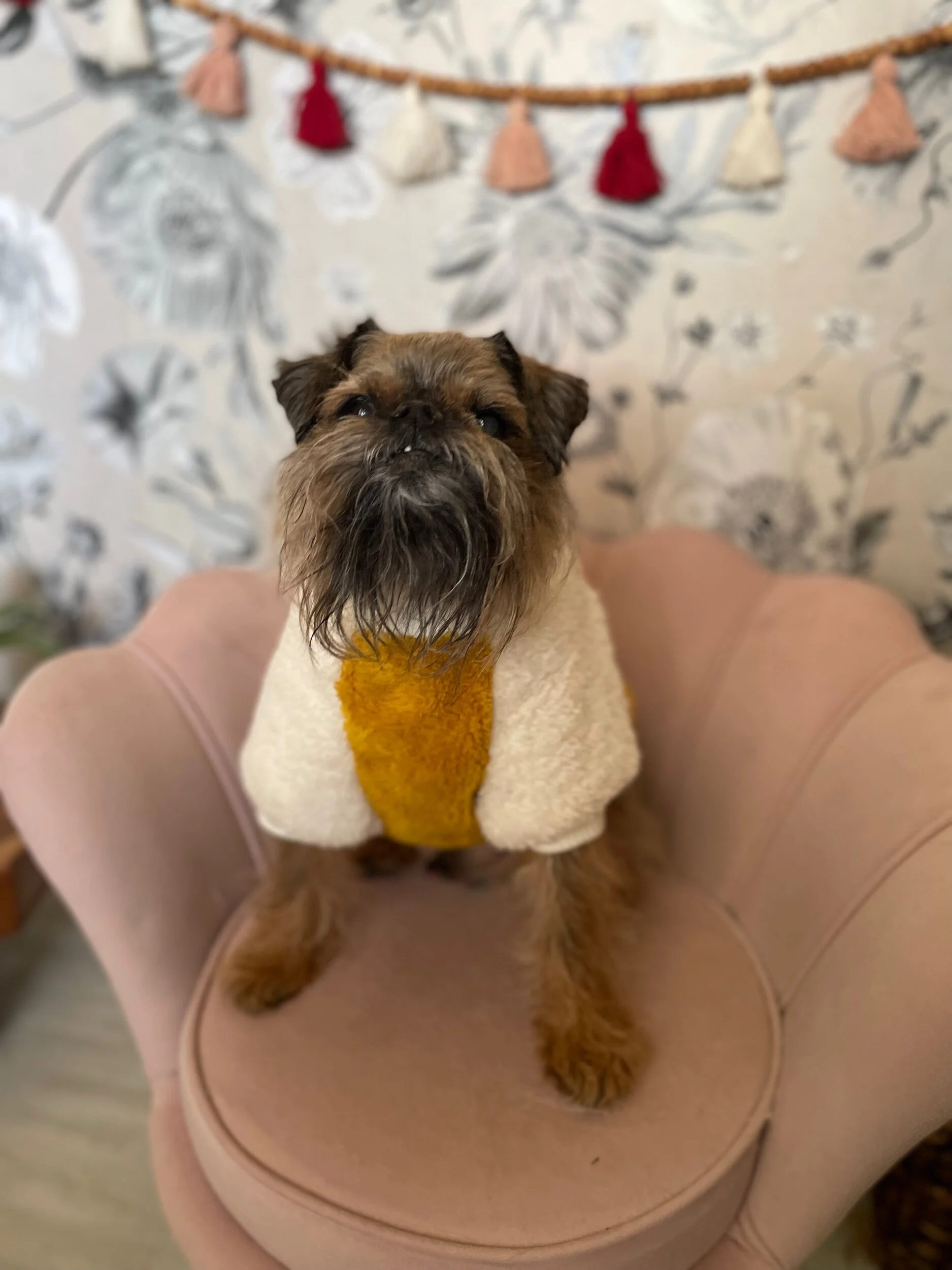 5175E340-00E3-4725-BCCA-83D3F11FB758