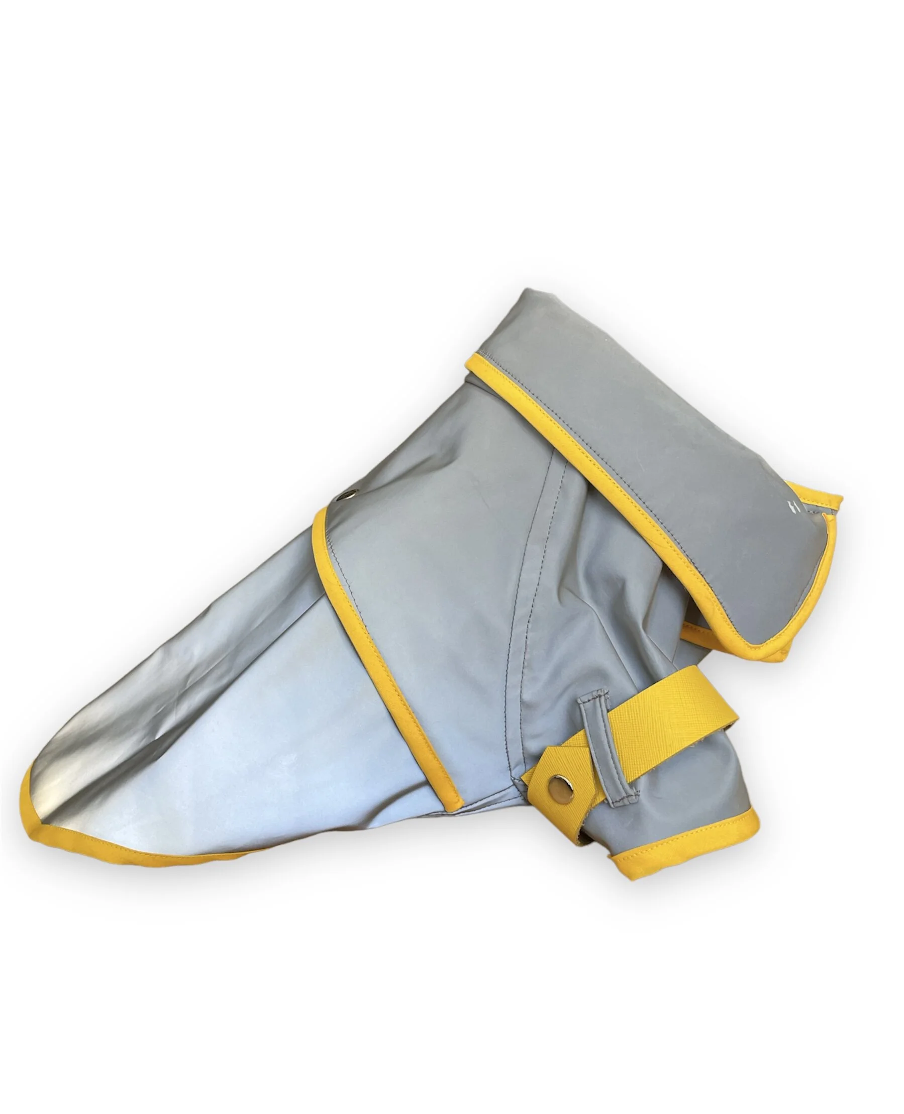 24E67577-F531-46FA-9F83-0780B9D675EF