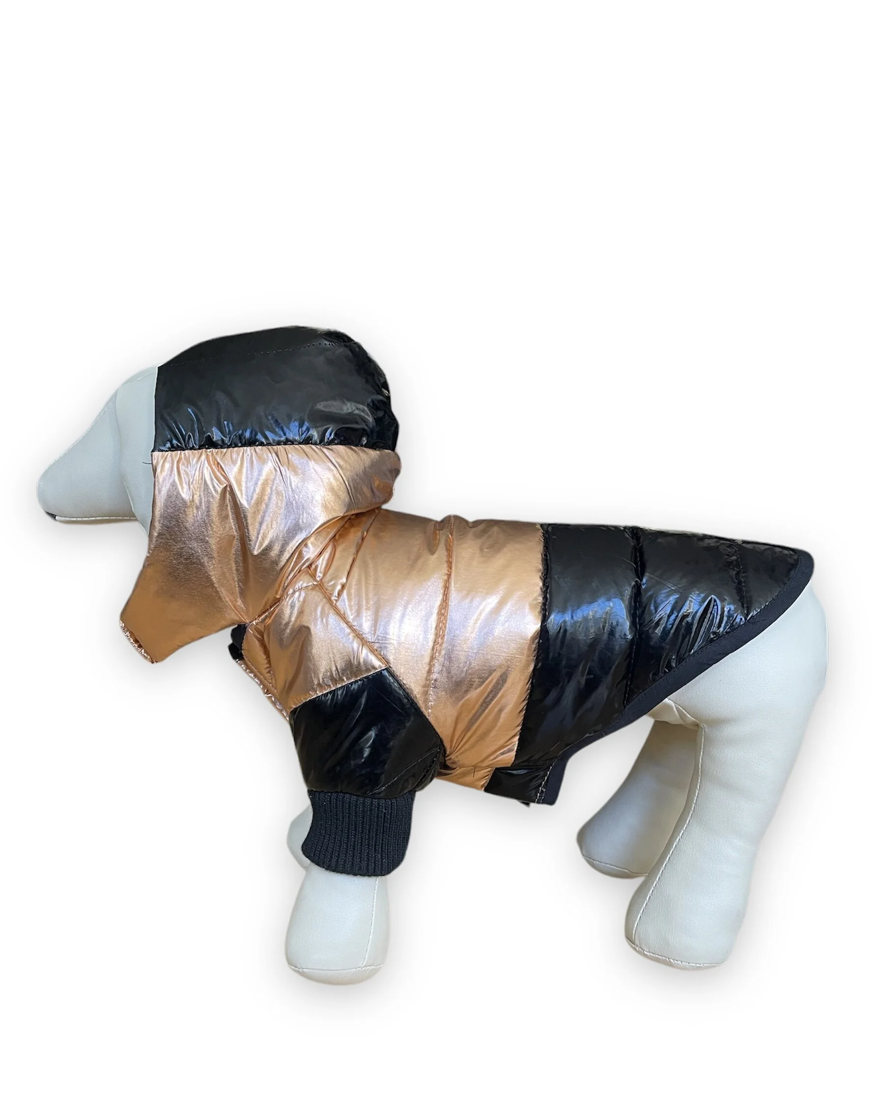 8471DFD8-44DC-4527-A04A-AFC66D7B5072