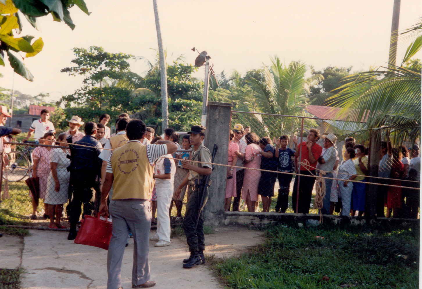linea2.jpg
