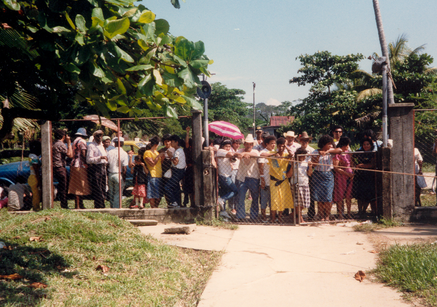 linea3.jpg
