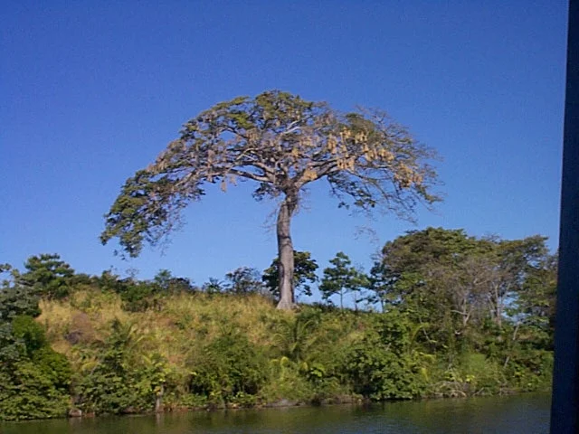 dcp00099.jpg