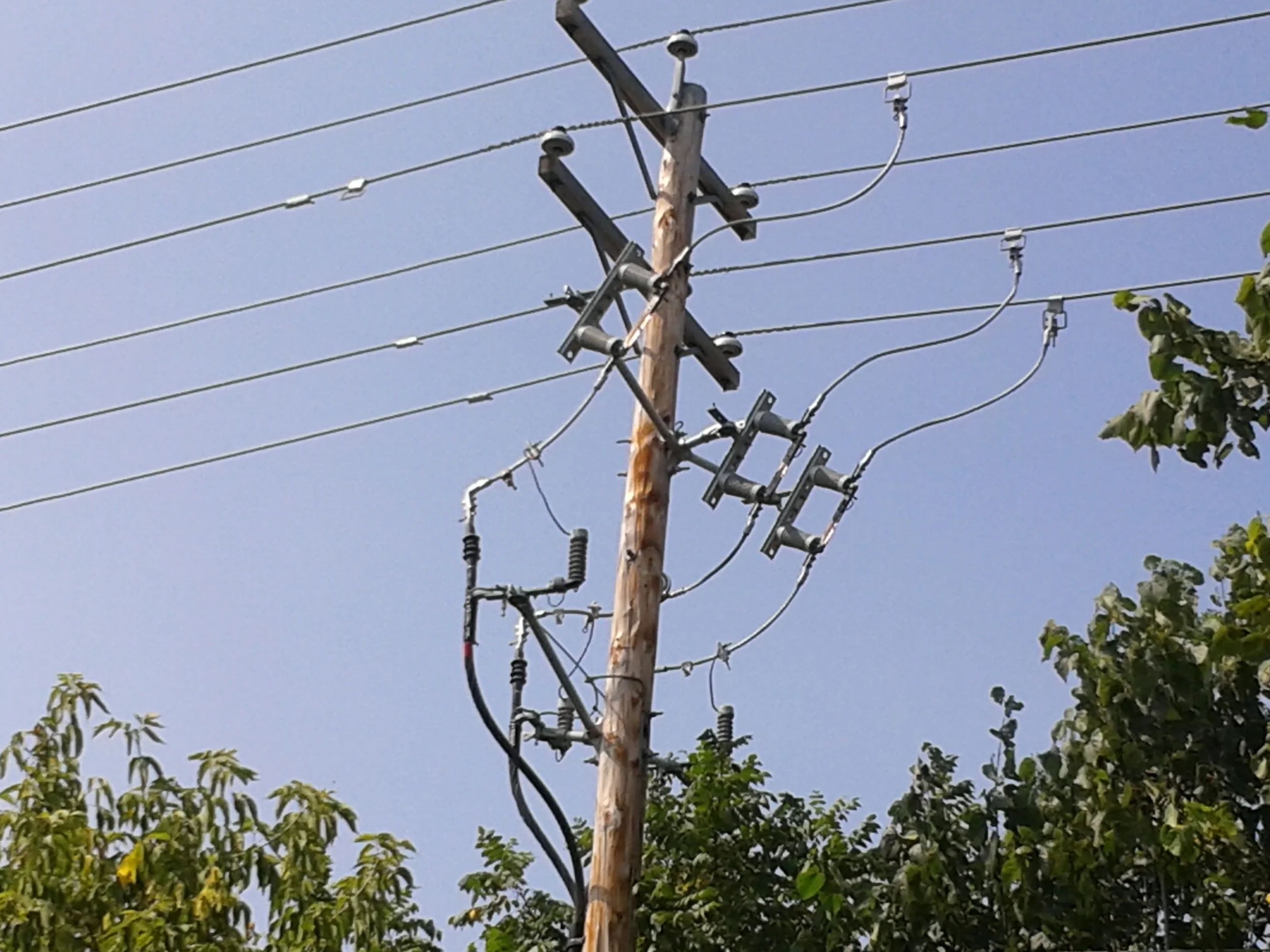 Utilisation de poteaux-bois pour l'électrification au cameroun