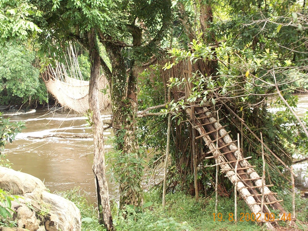 DCP_1395.JPG