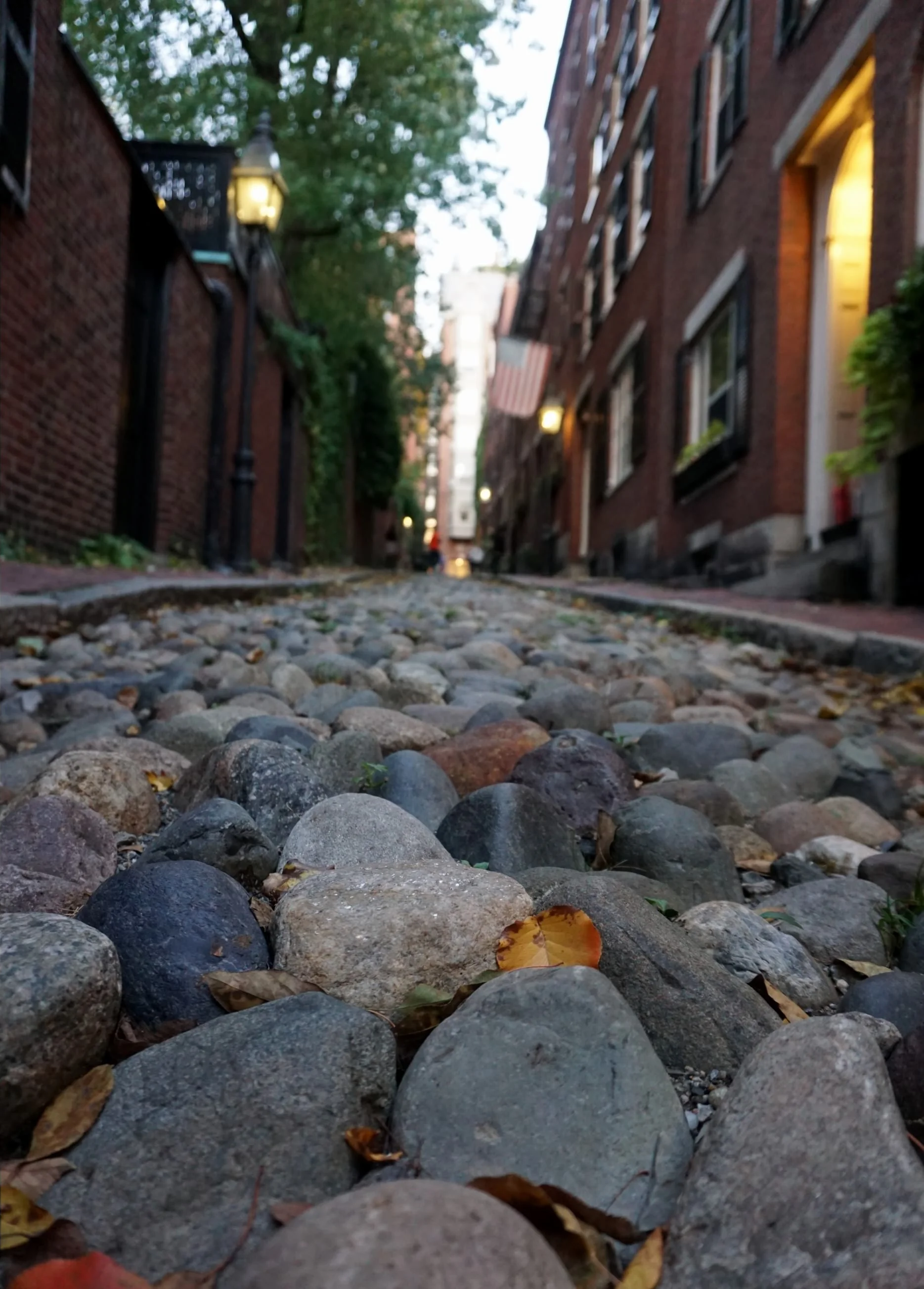DSC01113.jpg