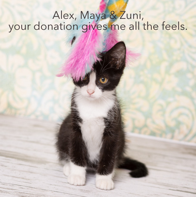 Alex Maya Zuni.jpg