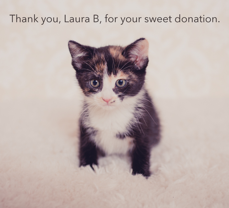 Laura B.jpg