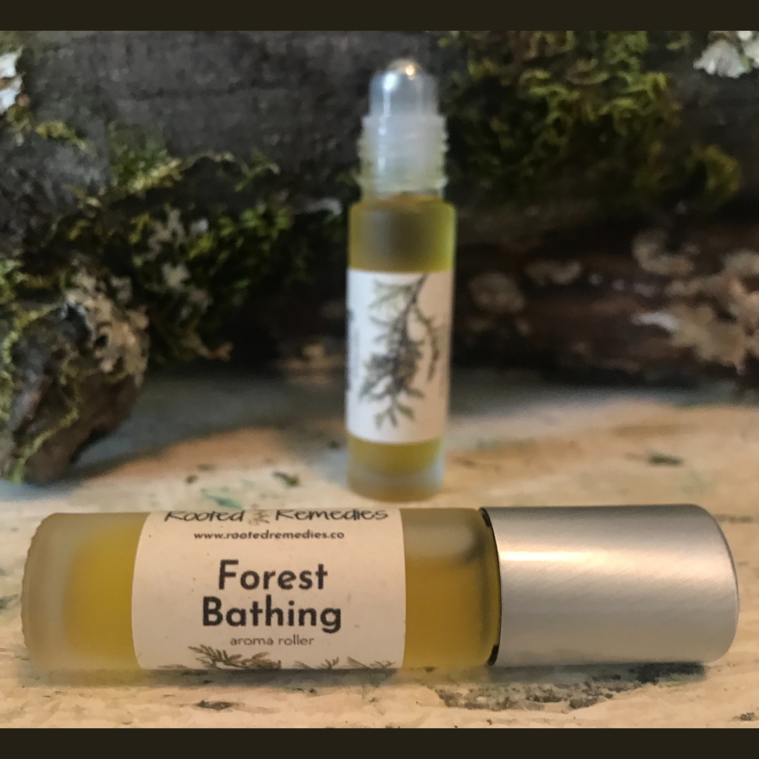 4. Rooted Remedies